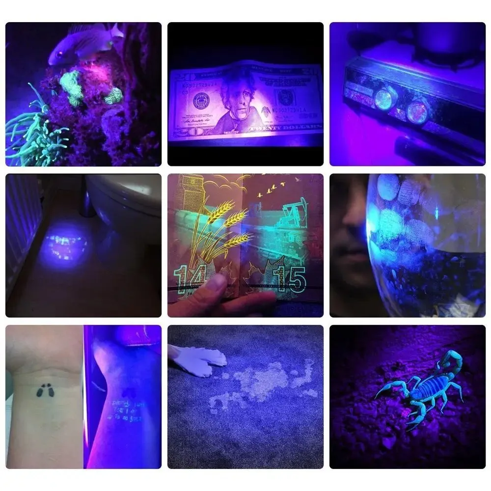 10W High Bright UV LED Flashlight 365nm/395nm Invisible Ink Marker Cat Dog Urine Tinea Ore Money Scorpion Fluorescence Light