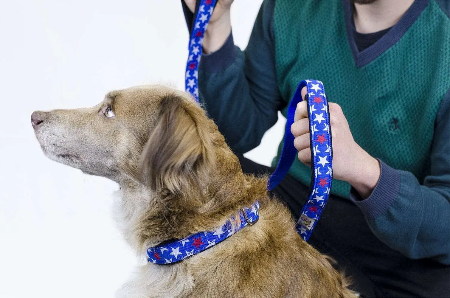 CuteNfuzzy Padded Adjustable Dog Collar with Overlay