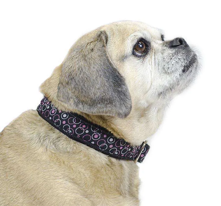 CuteNfuzzy Padded Adjustable Dog Collar with Overlay