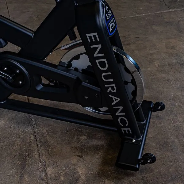 Endurance ESB250 by Body Solid Spin Style Exercise Bike