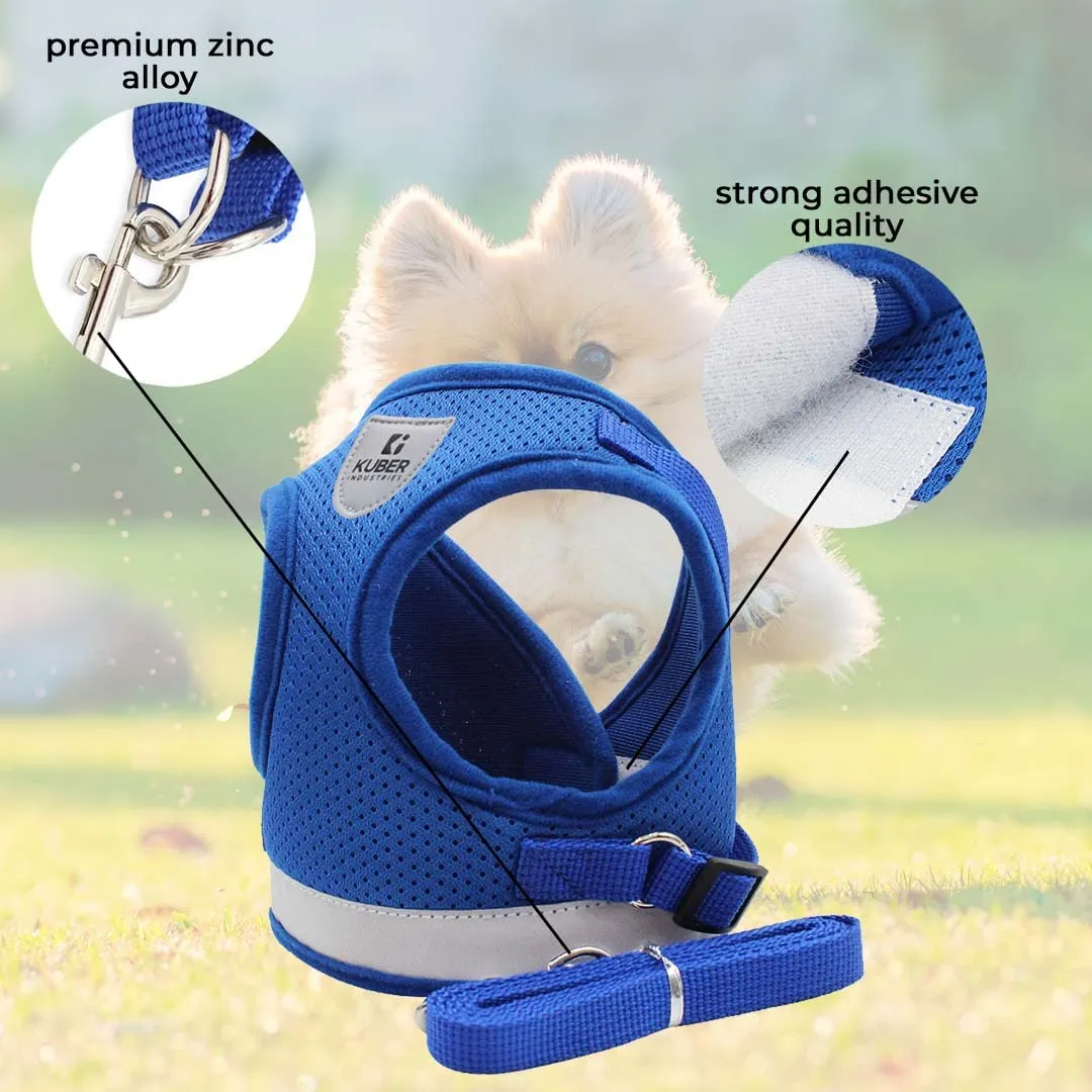 Kuber Industries Dog Harness With Adjustable Leash|Breathable Polyester Mesh Fabric |Small Size|HT-844|Comfortable No-Pull Grip|Quick Release Buckles|Blue