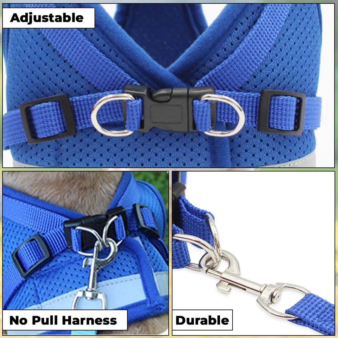 Kuber Industries Dog Harness With Adjustable Leash|Breathable Polyester Mesh Fabric |Small Size|HT-844|Comfortable No-Pull Grip|Quick Release Buckles|Blue