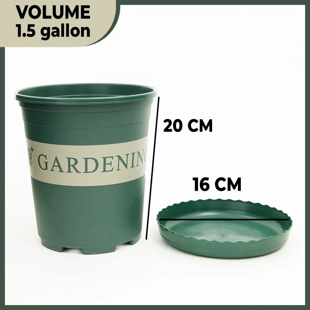 Kuber Industries Plastic Plant Pot|Indoor & Outdoor Plant Pot with Tray|Stylish Design|Durable & Lightweight|Water Drainage Holes||Medium|Green