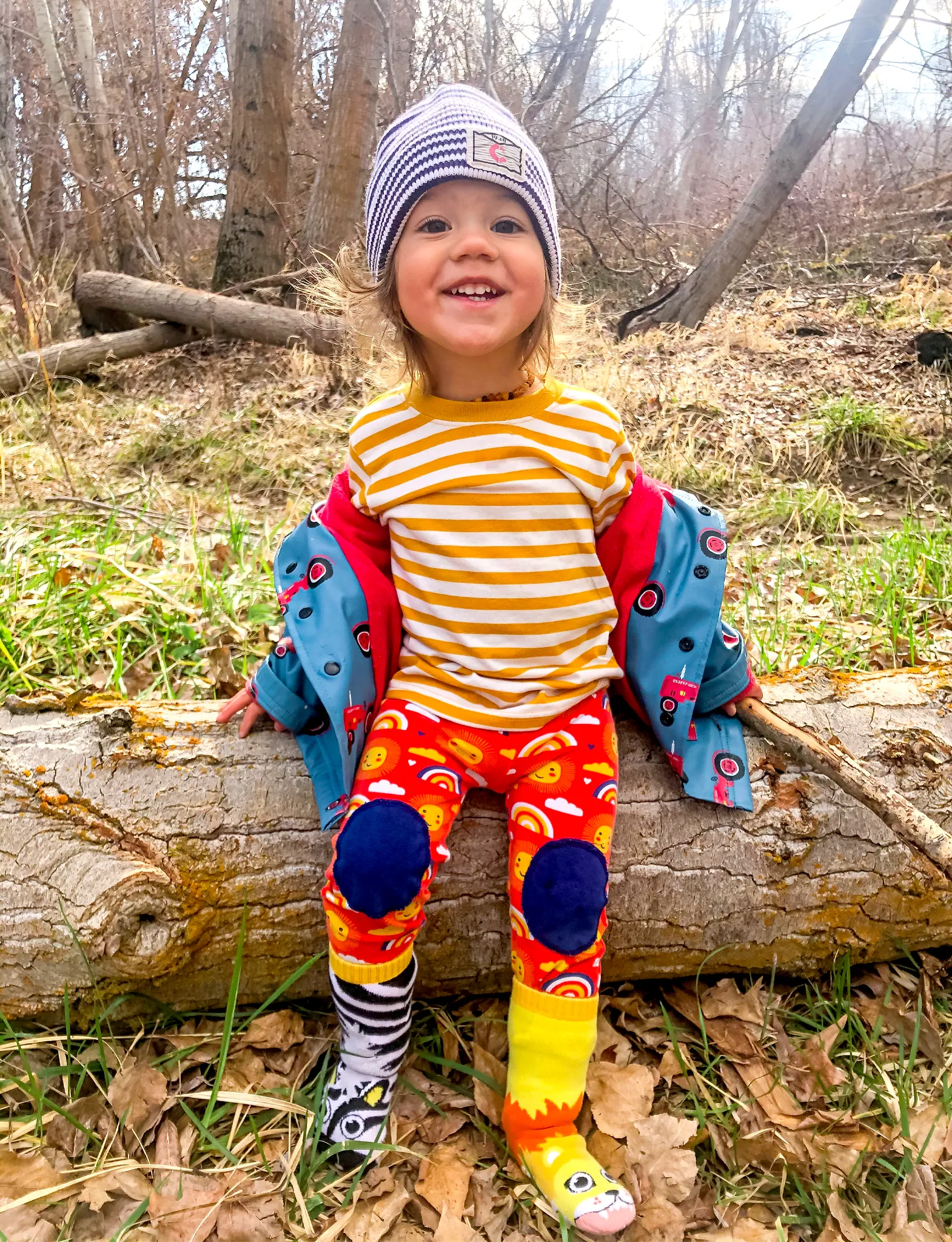 Lion & Zebra Matchy Mismatched Socks - A Wildly Fun Duo - 2 pairs