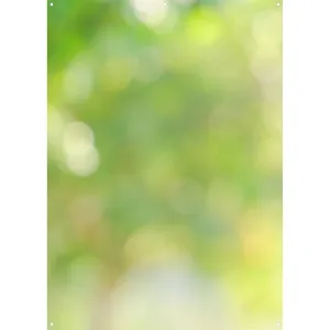 X-Drop Canvas Backdrop - Forest Bokeh (5' x 7')